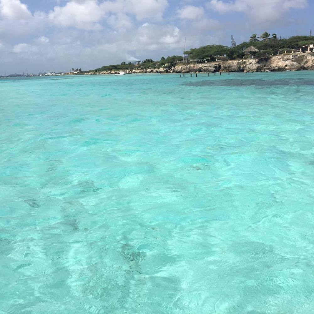 Meet your Posher, Connie