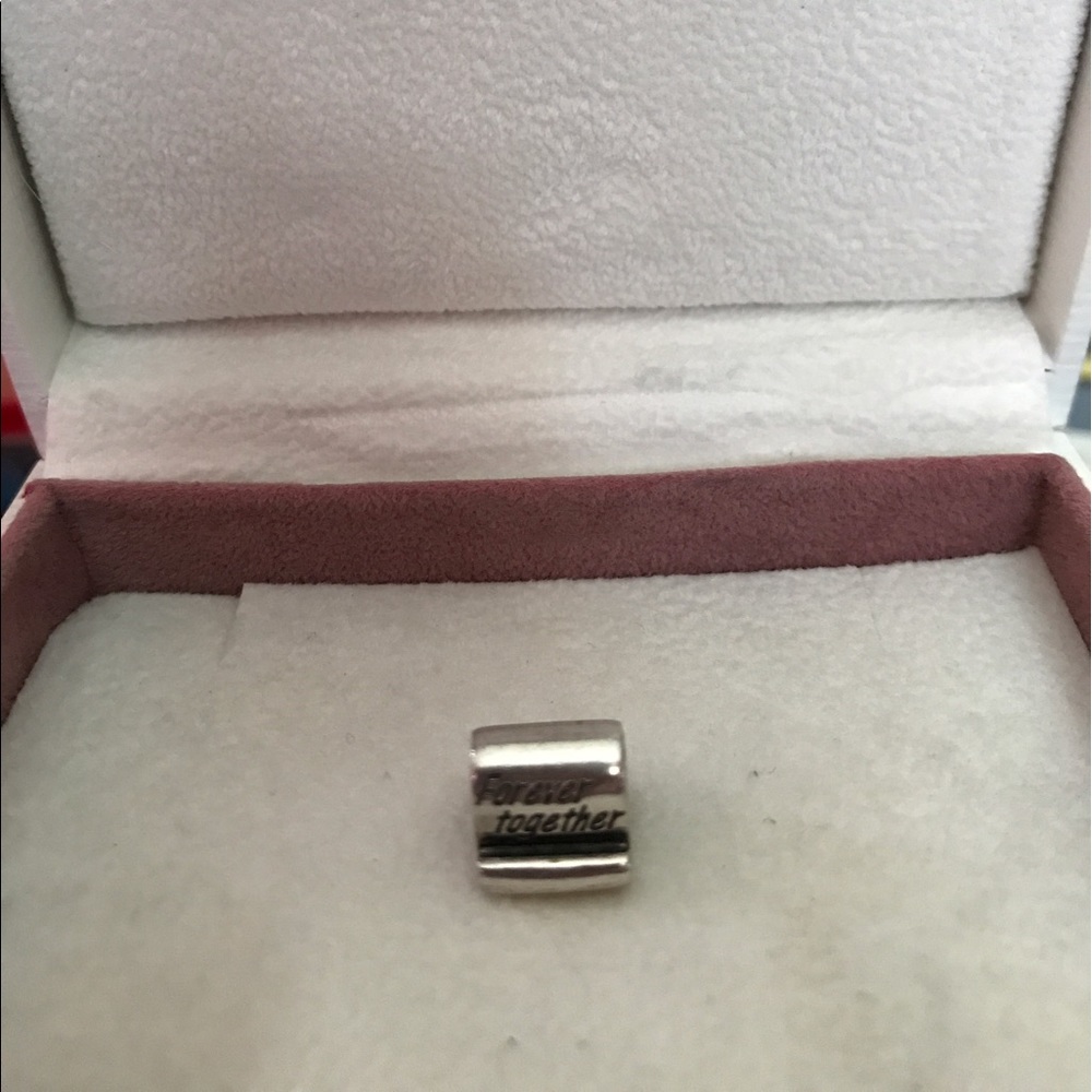 Pandora charm
