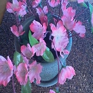 Meet your Posher, Sandy