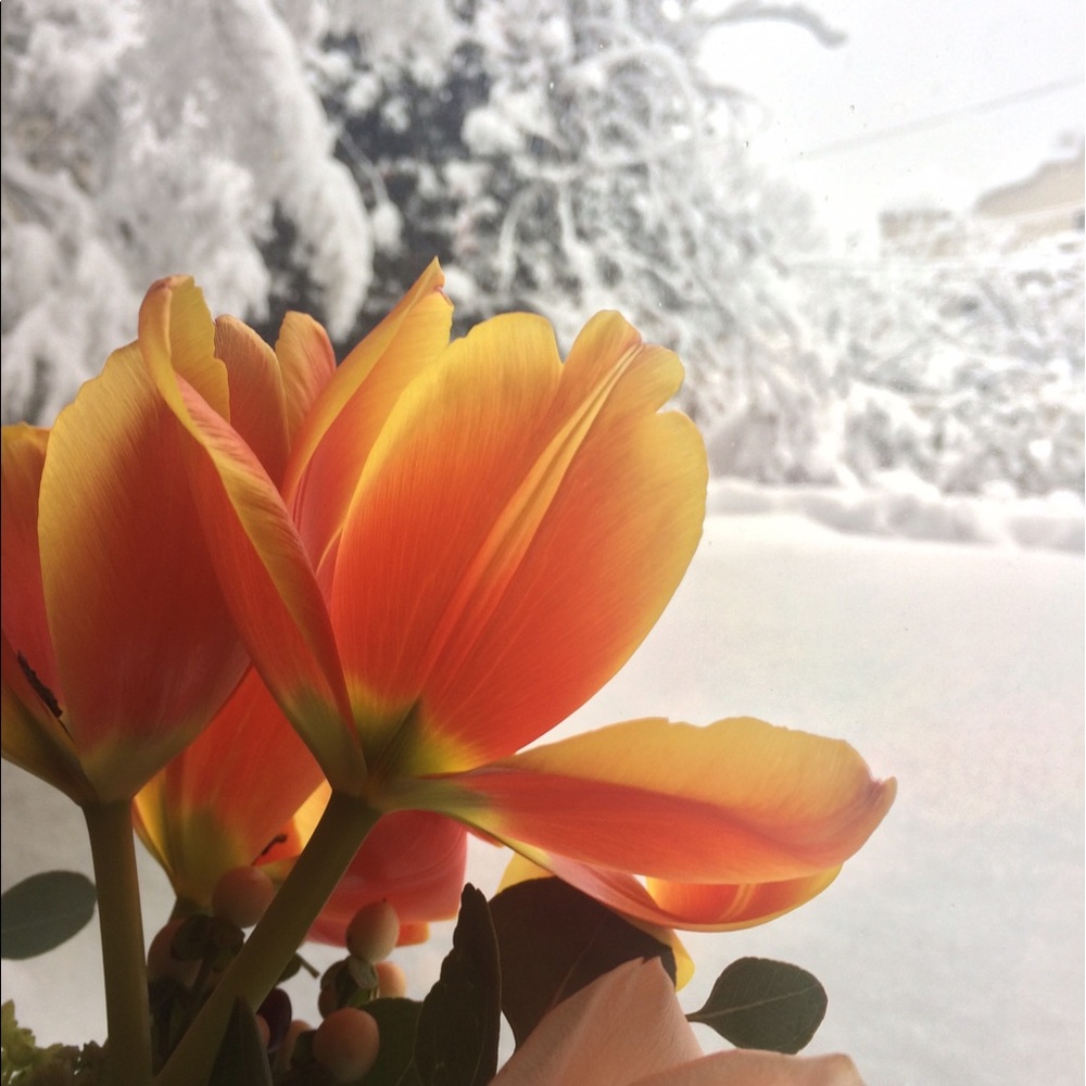 Meet your Posher, Krista
