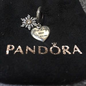 Snowflake Heart Pandora Charm