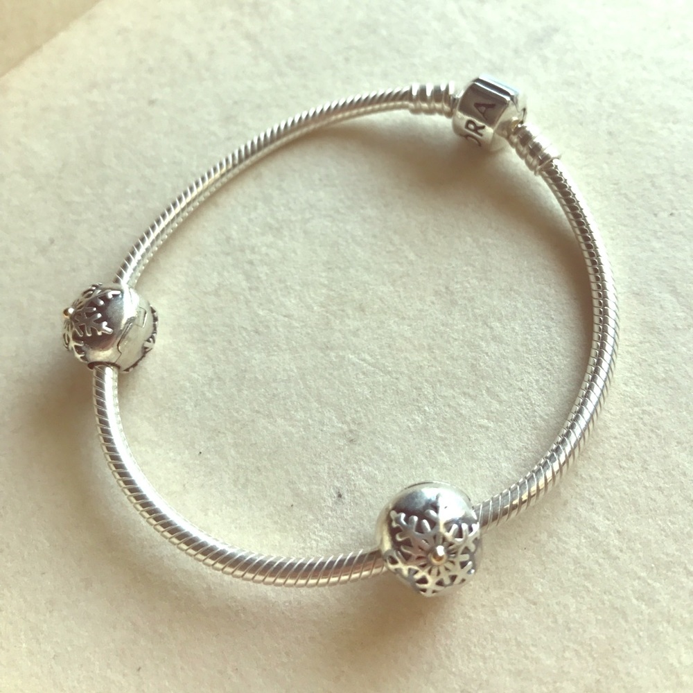 Set of two Winter Wonderland clips!