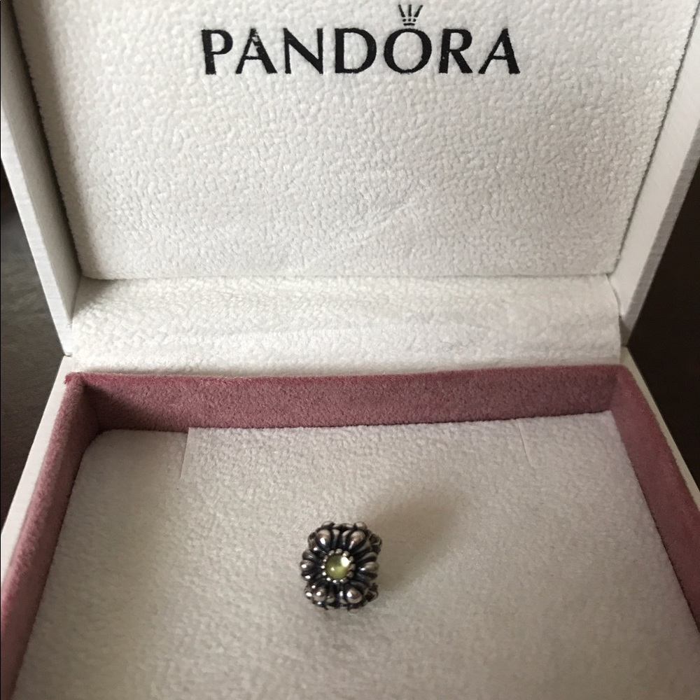 Pandora Charm