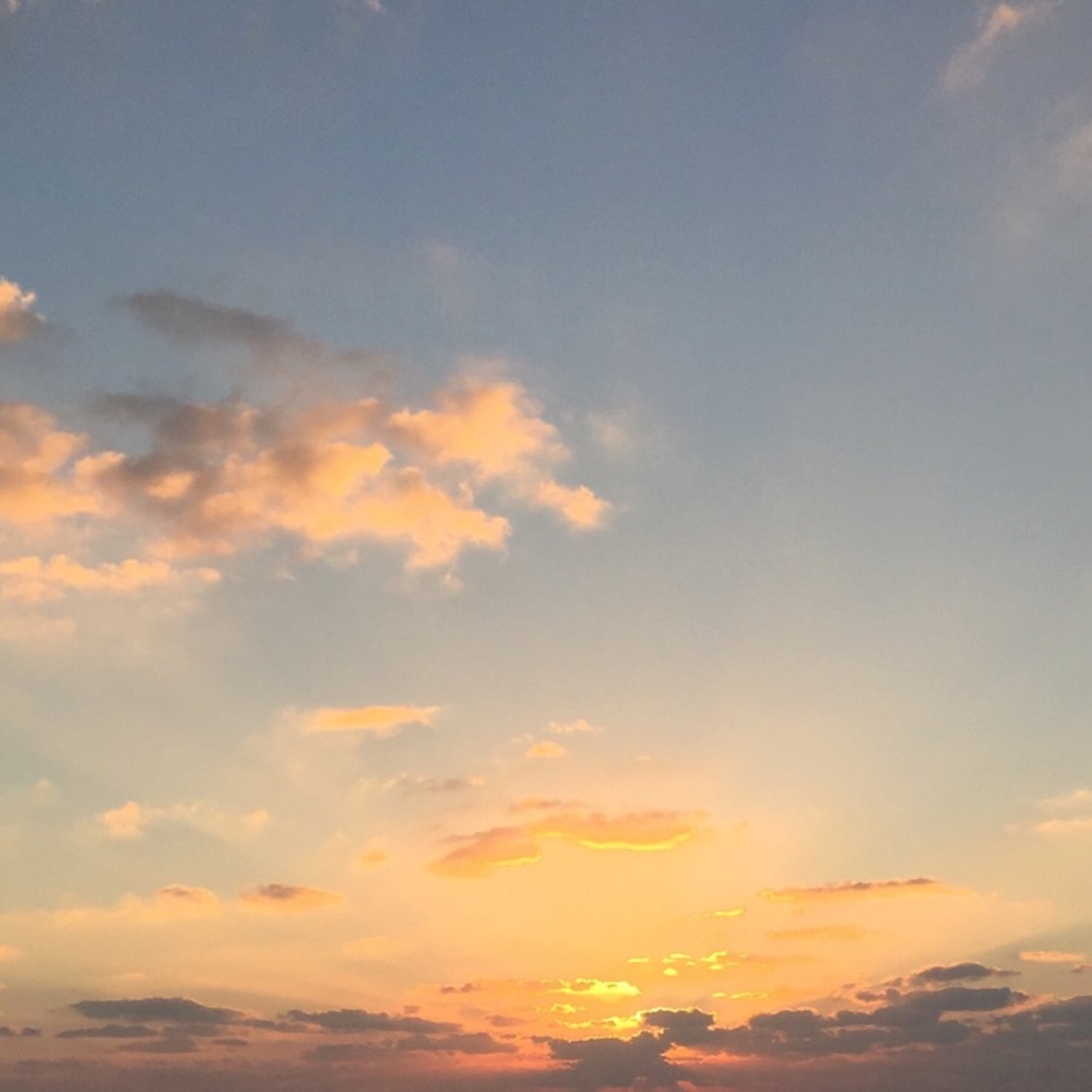 Meet your Posher, Frances