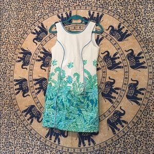 Lilly Pulitzer dress basically NEW!