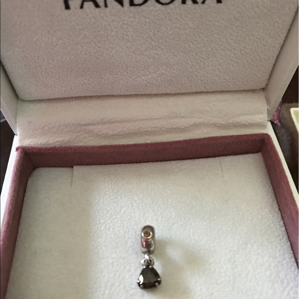 Pandora Charm