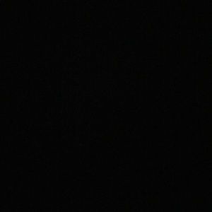 Meet your Posher, Riley