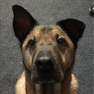 Meet your Posher, Julia