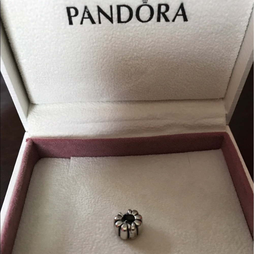 Pandora Charm