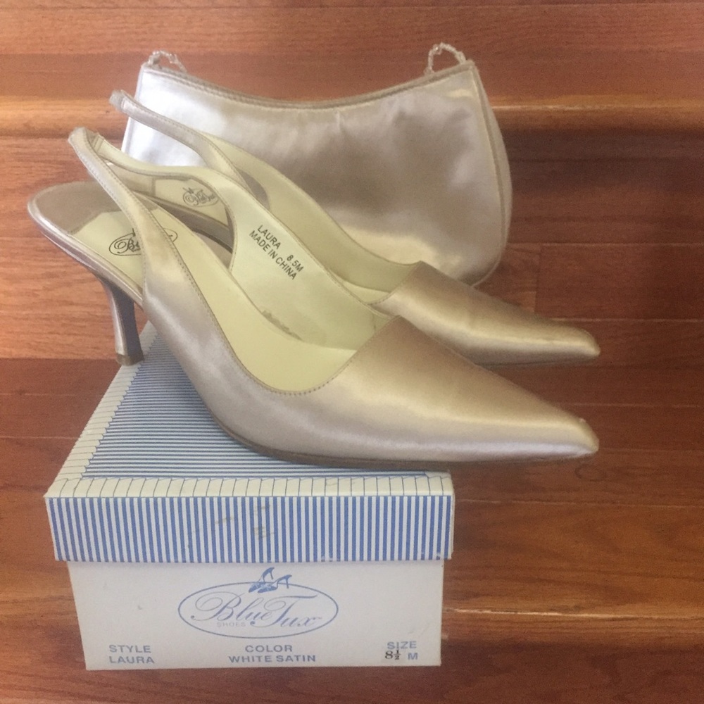 Blue Tux (dyeable)Shoes & Matching Purse