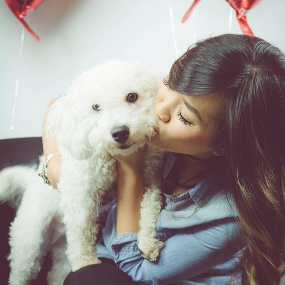 Meet your Posher, Chinh - Picture 1 of 1