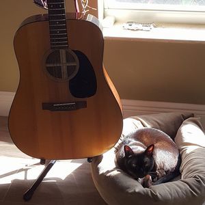 Meet your Posher, Sandy