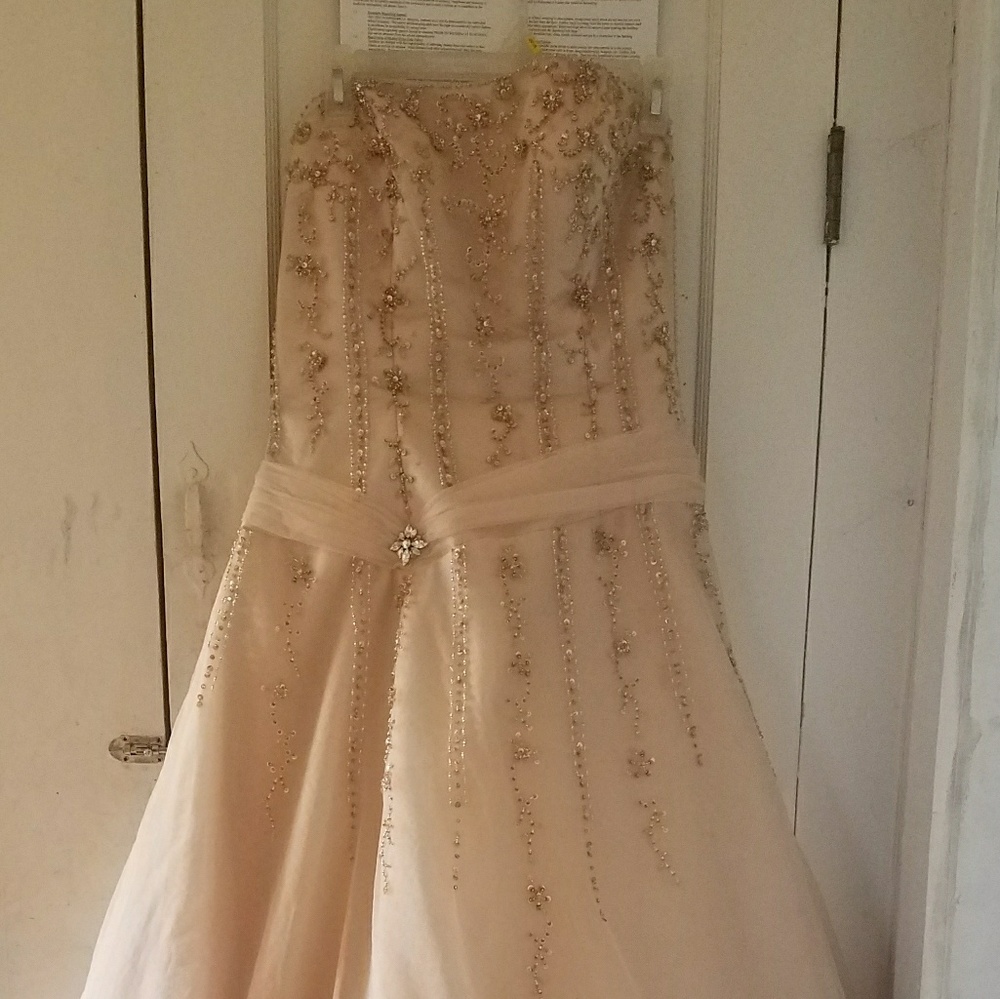 Tiffany Designs Prom Dress WILL FIT SIZE 9-16!!!