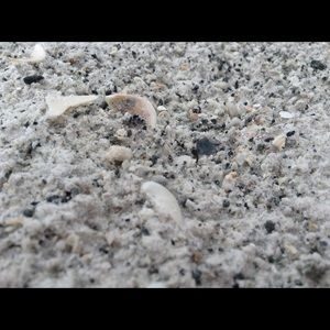 Meet your Posher, Desi