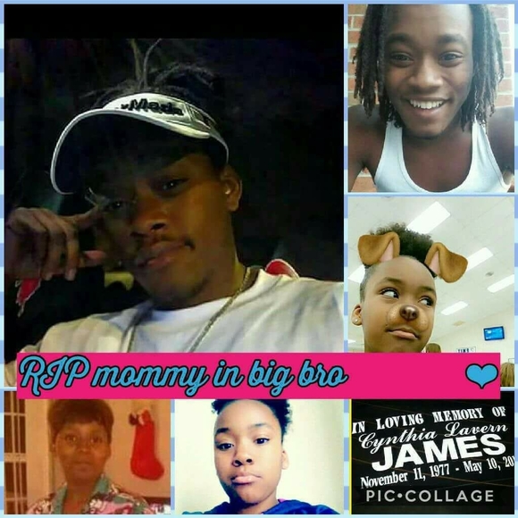 Meet your Posher, Gina - Picture 1 of 1