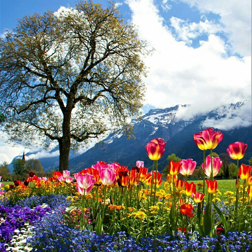 Meet your Posher, Daneen