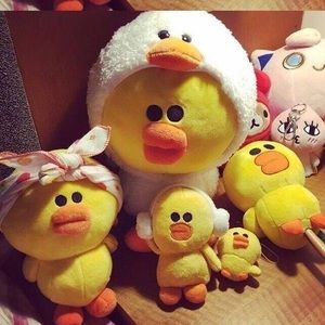 Meet your Posher, Sally