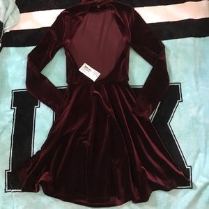 American Apparel Velvet Violette Skater Dress