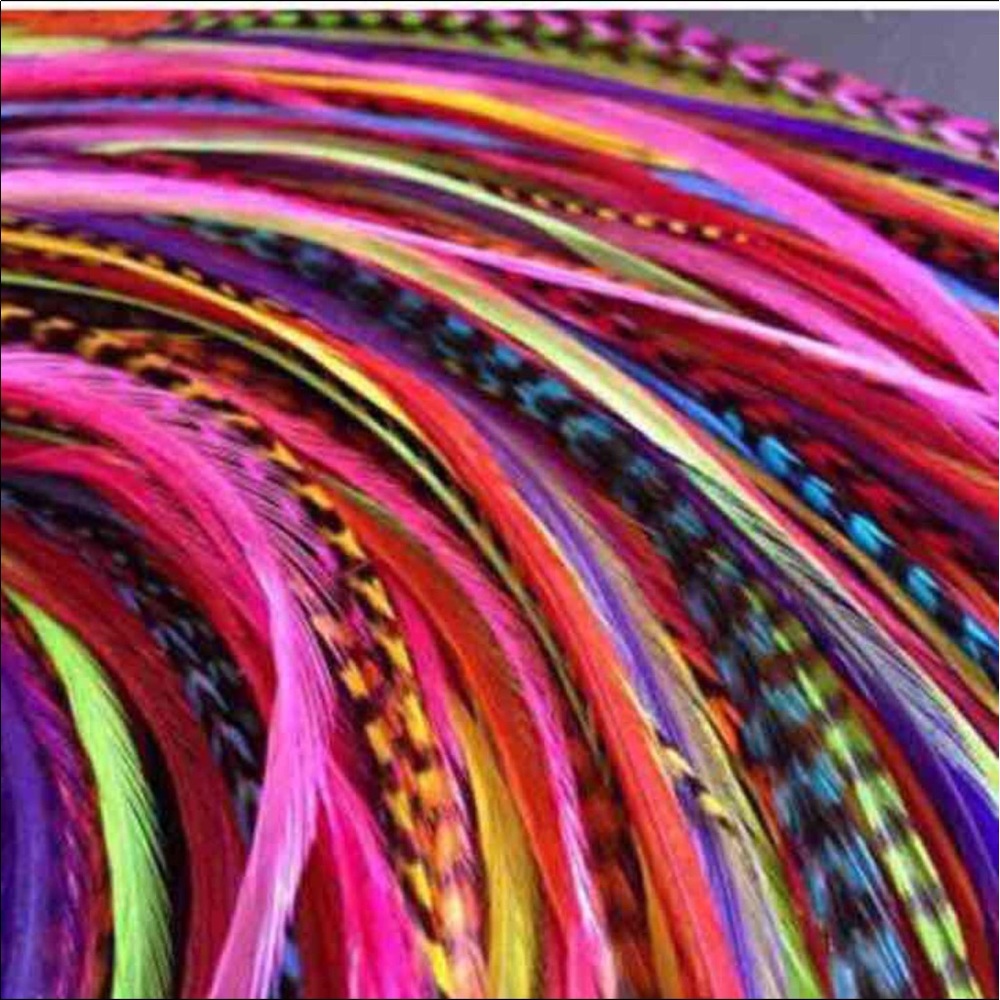 25 Feather Extensions Bright Long