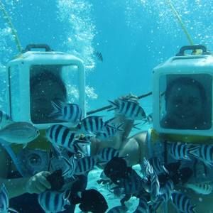 Meet your Posher, Angie