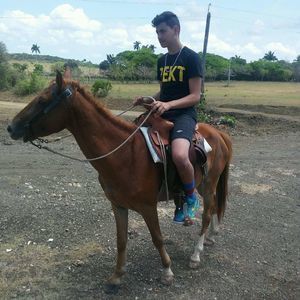 Meet your Posher, Frank