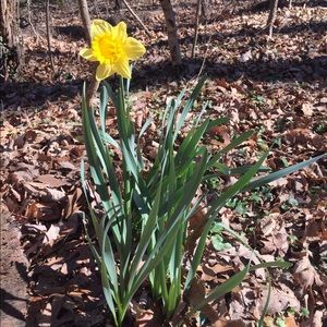 Meet your Posher, Brandi