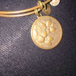 Alex and ani bracelet