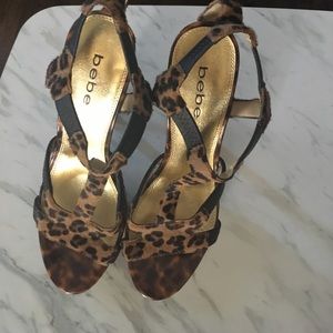 Size 8 leopard Bebe heels