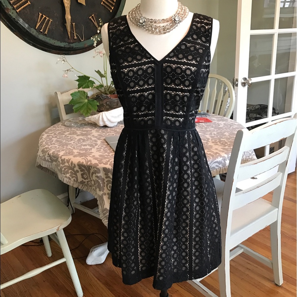 Ann Taylor Loft dress