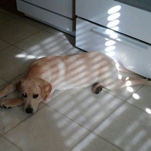 Meet your Posher, Delia