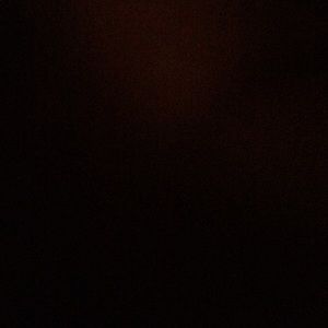 Meet your Posher, Lauryn