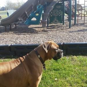 Meet your Posher, Brittney