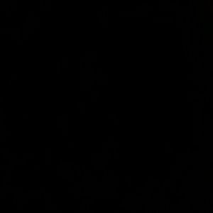 Meet your Posher, Dorien