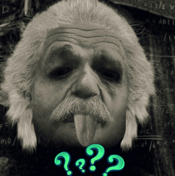 Meet your Posher, Norma - Picture 1 of 1