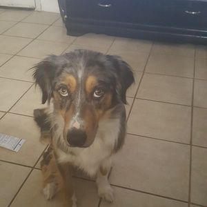 Meet your Posher, Katelyn