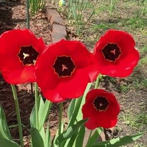 Meet your Posher, Kendy