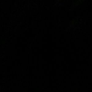 Meet your Posher, Bill