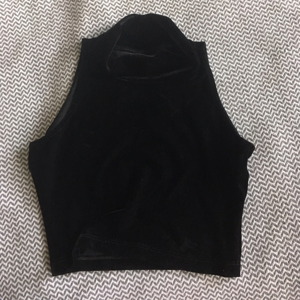 AA velvet Turtleneck crop top