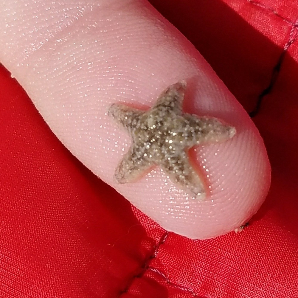 Meet your Posher, Tracie