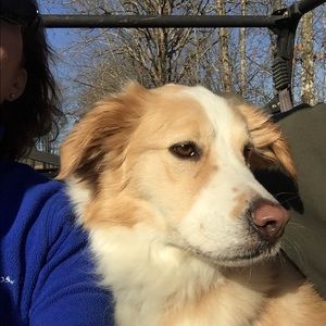 Meet your Posher, Nancy