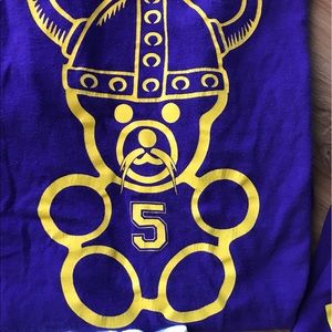 Minnesota Vikings teddy shirt