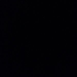 Meet your Posher, Marley