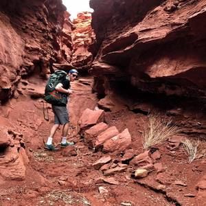 Meet your Posher, Taylor