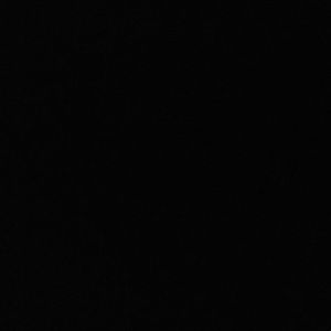 Meet your Posher, Abbey