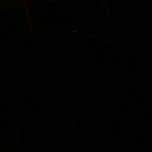 Meet your Posher, Sidney