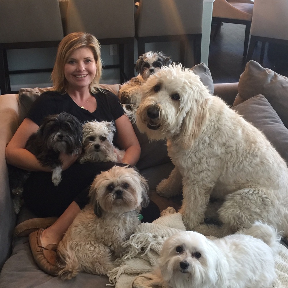 Meet Your Posher! Now Posh Ambassador! Fast ship!