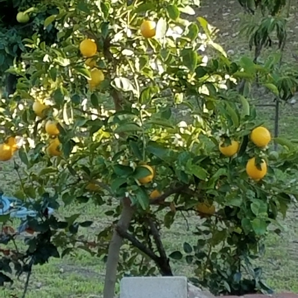 Meet your Posher, Miguel