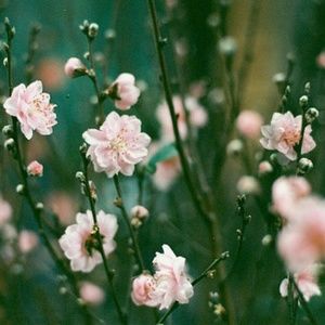 Meet your Posher, Juana