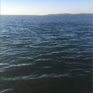 Meet your Posher, Ha