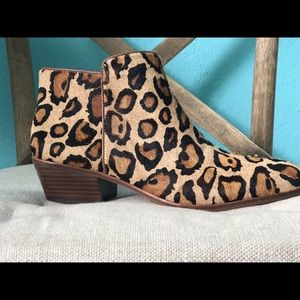 Sam Edelman leopard ankle booties